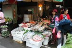 Fish at the morning market
