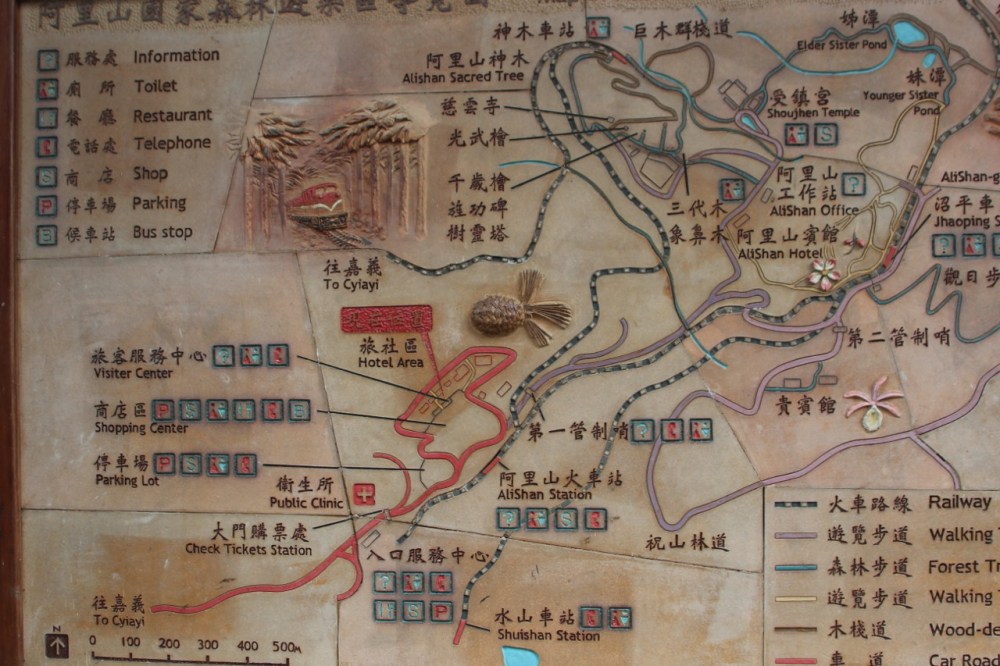 Map with Pleione Orchid