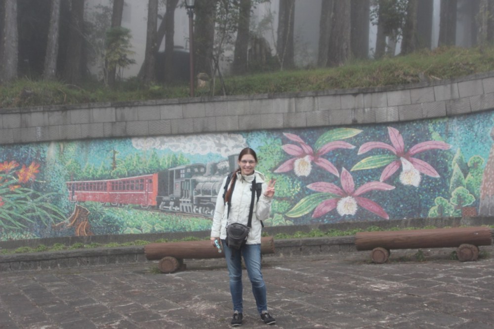 Pleione Orchid picture