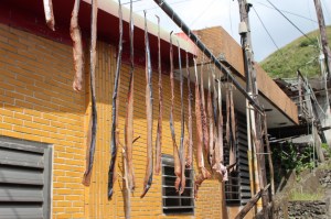 Drying fish in the sun