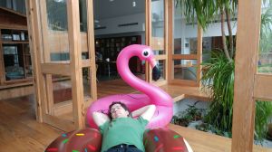 Aufenthaltsraum in Star Hostel Taipei Main Station. Holzhäuser, Pflanzen und Schwimmtiere